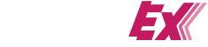 BingoEx-logo